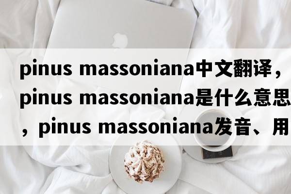 pinus massoniana中文翻譯，pinus massoniana是什么意思，pinus massoniana發(fā)音、用法及例句
