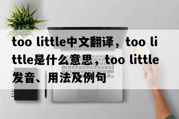 too little中文翻譯，too little是什么意思，too little發(fā)音、用法及例句