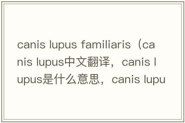 canis lupus familiaris（canis lupus中文翻譯，canis lupus是什么意思，canis lupus發(fā)音、用法及例句）
