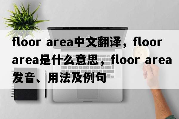 floor area中文翻譯，floor area是什么意思，floor area發(fā)音、用法及例句