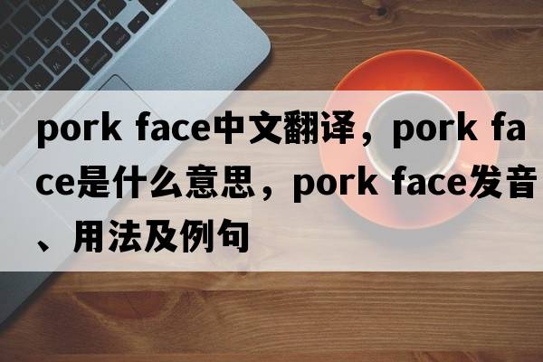 pork face中文翻譯，pork face是什么意思，pork face發(fā)音、用法及例句