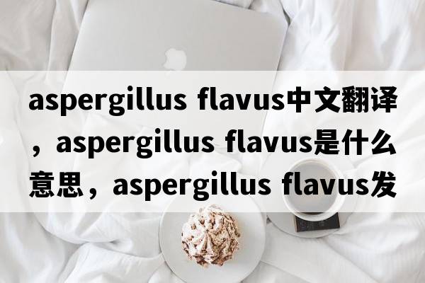 aspergillus flavus中文翻譯，aspergillus flavus是什么意思，aspergillus flavus發(fā)音、用法及例句