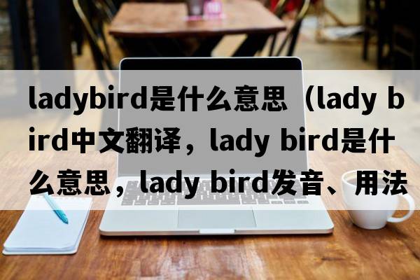 ladybird是什么意思（lady bird中文翻譯，lady bird是什么意思，lady bird發(fā)音、用法及例句）