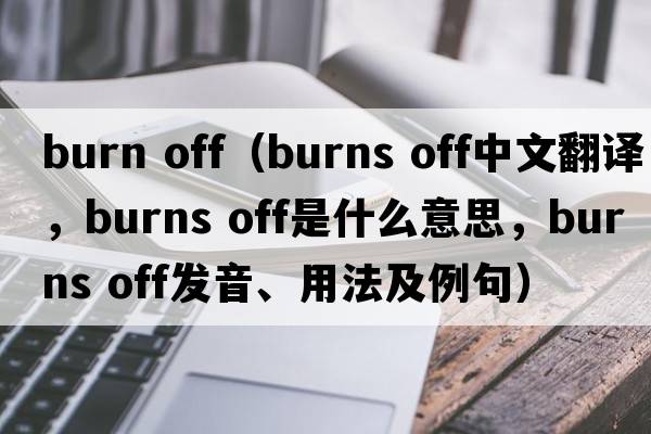 burn off（burns off中文翻譯，burns off是什么意思，burns off發(fā)音、用法及例句）