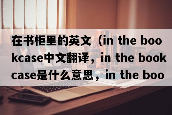 在書(shū)柜里的英文（in the bookcase中文翻譯，in the bookcase是什么意思，in the bookcase發(fā)音、用法及例句）