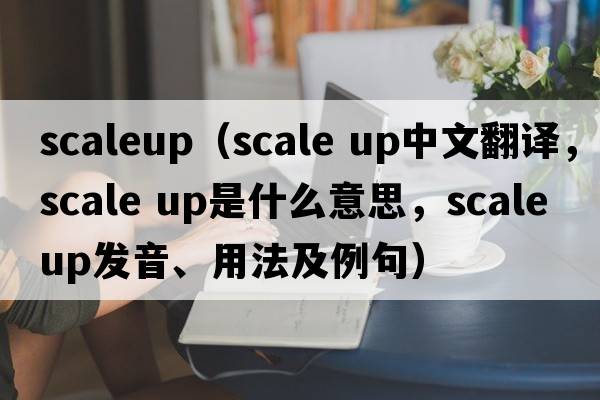 scaleup（scale up中文翻譯，scale up是什么意思，scale up發(fā)音、用法及例句）