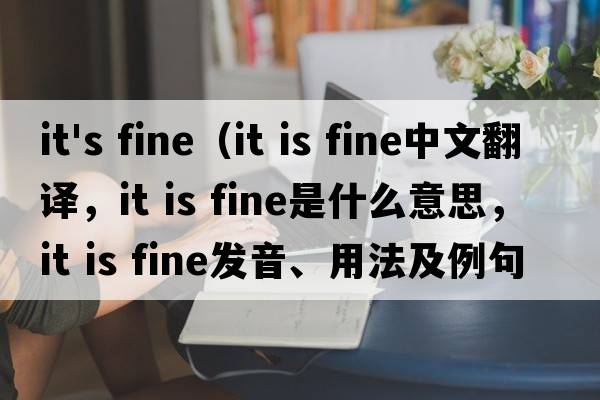 it's fine（it is fine中文翻譯，it is fine是什么意思，it is fine發(fā)音、用法及例句）