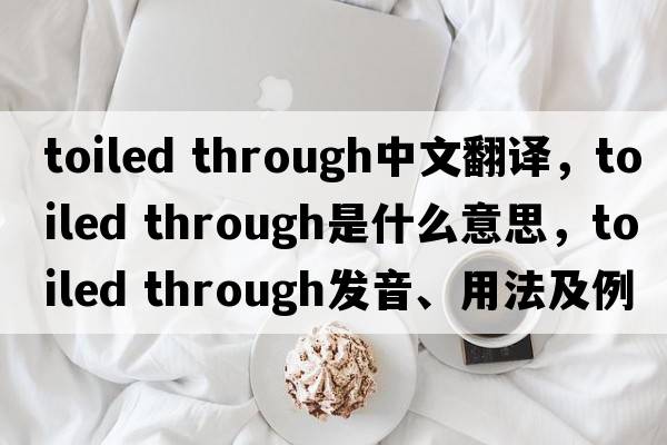 toiled through中文翻譯，toiled through是什么意思，toiled through發(fā)音、用法及例句