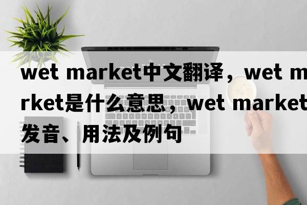 wet market中文翻譯，wet market是什么意思，wet market發(fā)音、用法及例句