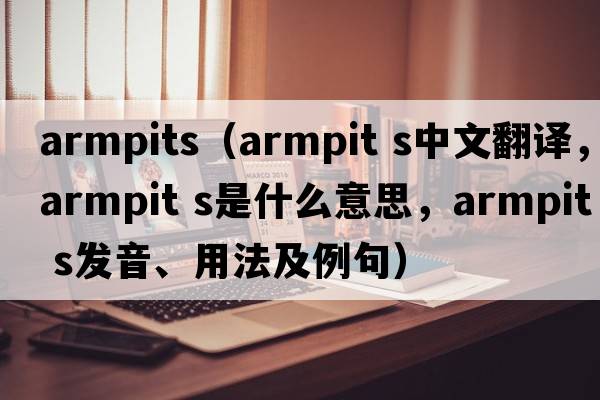 armpits（armpit s中文翻譯，armpit s是什么意思，armpit s發(fā)音、用法及例句）