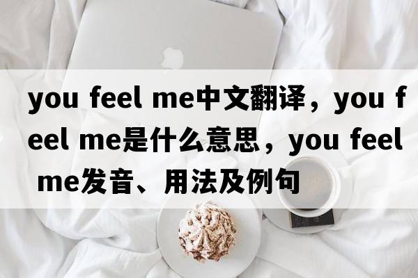 you feel me中文翻譯，you feel me是什么意思，you feel me發(fā)音、用法及例句