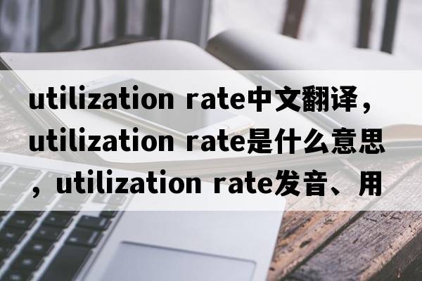 utilization rate中文翻譯，utilization rate是什么意思，utilization rate發(fā)音、用法及例句