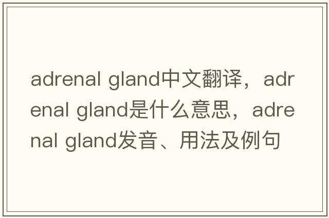 adrenal gland中文翻譯，adrenal gland是什么意思，adrenal gland發(fā)音、用法及例句