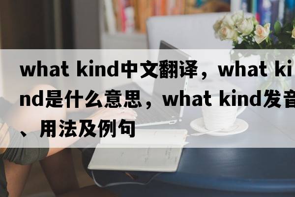 what kind中文翻譯，what kind是什么意思，what kind發(fā)音、用法及例句