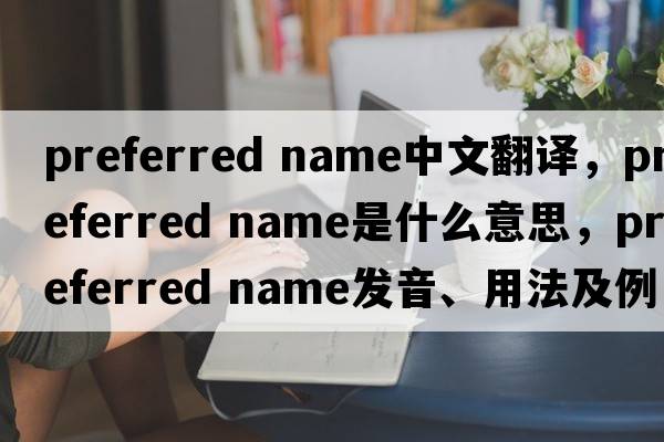 preferred name中文翻譯，preferred name是什么意思，preferred name發(fā)音、用法及例句