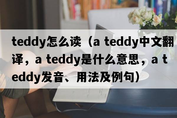 teddy怎么讀（a teddy中文翻譯，a teddy是什么意思，a teddy發(fā)音、用法及例句）