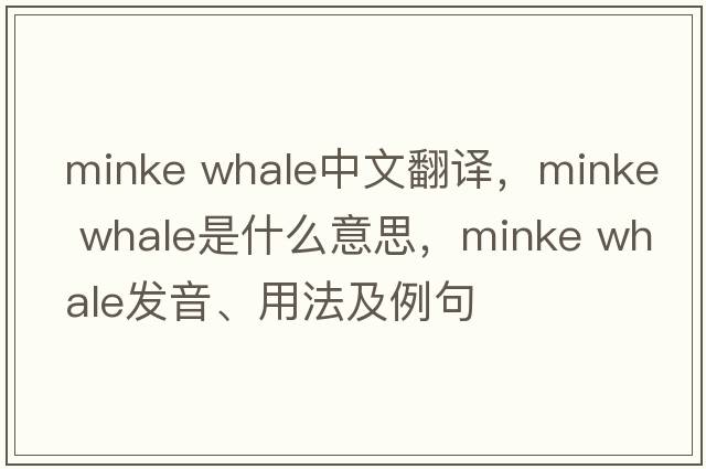 minke whale中文翻譯，minke whale是什么意思，minke whale發(fā)音、用法及例句
