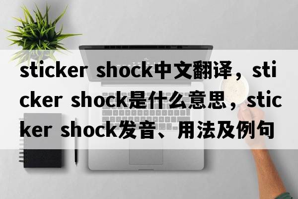 sticker shock中文翻譯，sticker shock是什么意思，sticker shock發(fā)音、用法及例句