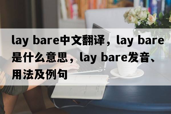 lay bare中文翻譯，lay bare是什么意思，lay bare發(fā)音、用法及例句