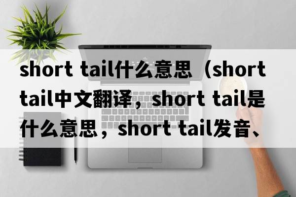 short tail什么意思（short tail中文翻譯，short tail是什么意思，short tail發(fā)音、用法及例句）