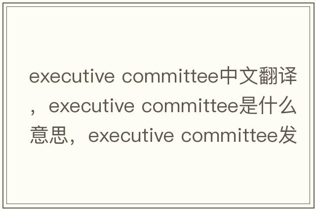executive committee中文翻譯，executive committee是什么意思，executive committee發(fā)音、用法及例句