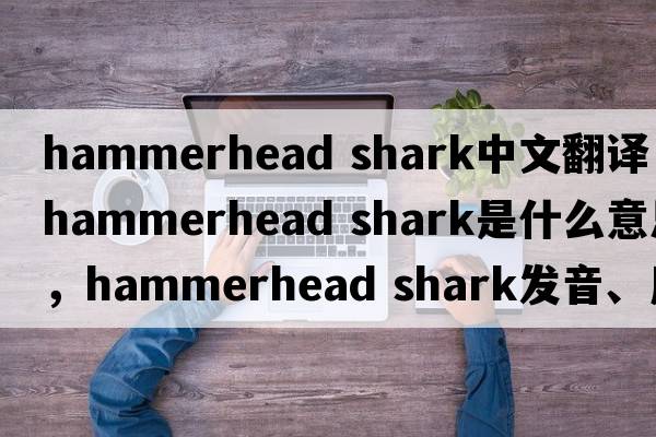 hammerhead shark中文翻譯，hammerhead shark是什么意思，hammerhead shark發(fā)音、用法及例句