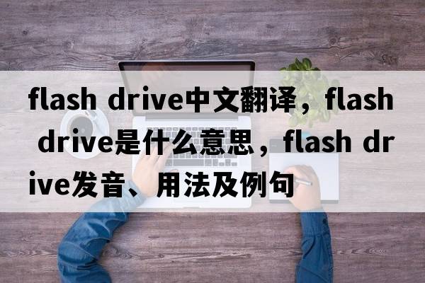 flash drive中文翻譯，flash drive是什么意思，flash drive發(fā)音、用法及例句