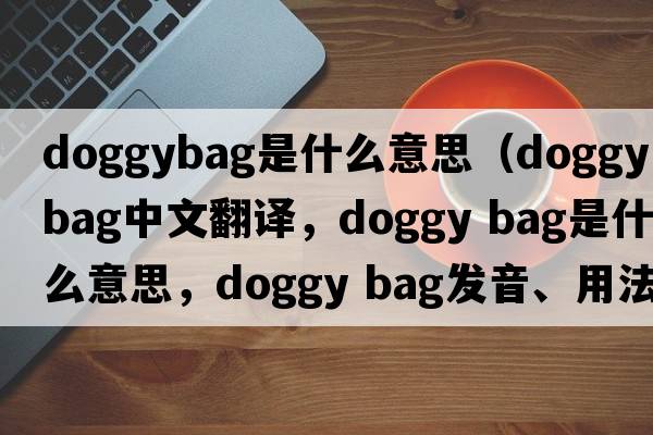 doggybag是什么意思（doggy bag中文翻譯，doggy bag是什么意思，doggy bag發(fā)音、用法及例句）