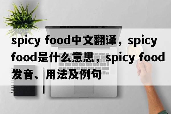 spicy food中文翻譯，spicy food是什么意思，spicy food發(fā)音、用法及例句