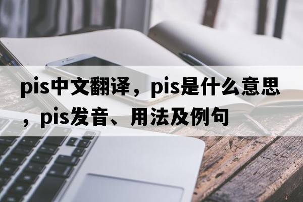 pis中文翻譯，pis是什么意思，pis發(fā)音、用法及例句