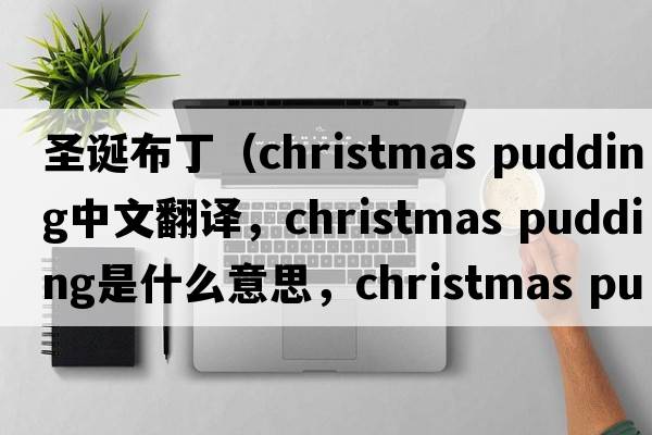 圣誕布?。╟hristmas pudding中文翻譯，christmas pudding是什么意思，christmas pudding發(fā)音、用法及例句）