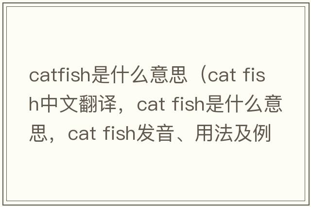 catfish是什么意思（cat fish中文翻譯，cat fish是什么意思，cat fish發(fā)音、用法及例句）