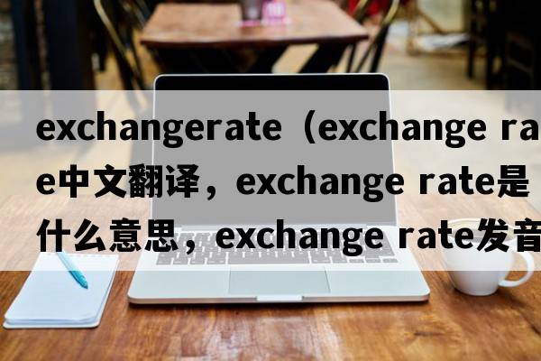 exchangerate（exchange rate中文翻譯，exchange rate是什么意思，exchange rate發(fā)音、用法及例句）