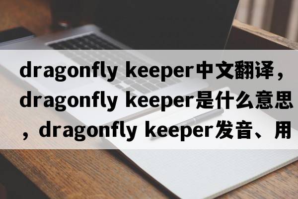 dragonfly keeper中文翻譯，dragonfly keeper是什么意思，dragonfly keeper發(fā)音、用法及例句