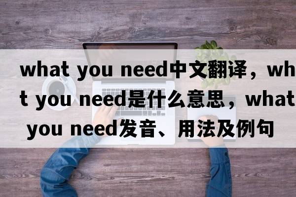 what you need中文翻譯，what you need是什么意思，what you need發(fā)音、用法及例句