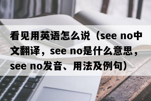 看見(jiàn)用英語(yǔ)怎么說(shuō)（see no中文翻譯，see no是什么意思，see no發(fā)音、用法及例句）