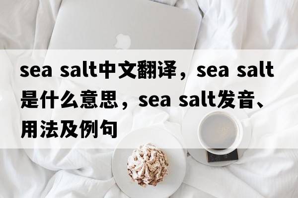 sea salt中文翻譯，sea salt是什么意思，sea salt發(fā)音、用法及例句