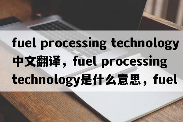 fuel processing technology中文翻譯，fuel processing technology是什么意思，fuel processing technology發(fā)音、用法及例句
