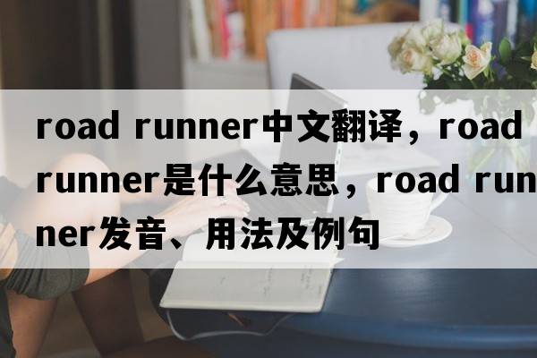 road runner中文翻譯，road runner是什么意思，road runner發(fā)音、用法及例句
