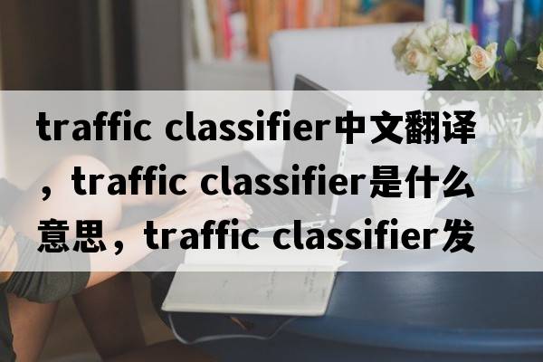 traffic classifier中文翻譯，traffic classifier是什么意思，traffic classifier發(fā)音、用法及例句