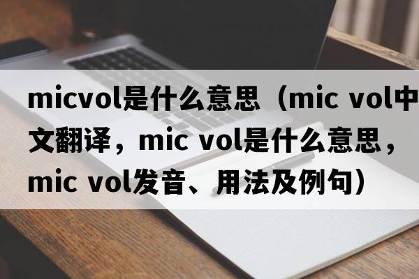 micvol是什么意思（mic vol中文翻譯，mic vol是什么意思，mic vol發(fā)音、用法及例句）