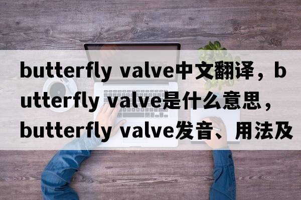 butterfly valve中文翻譯，butterfly valve是什么意思，butterfly valve發(fā)音、用法及例句