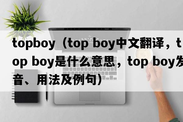 topboy（top boy中文翻譯，top boy是什么意思，top boy發(fā)音、用法及例句）