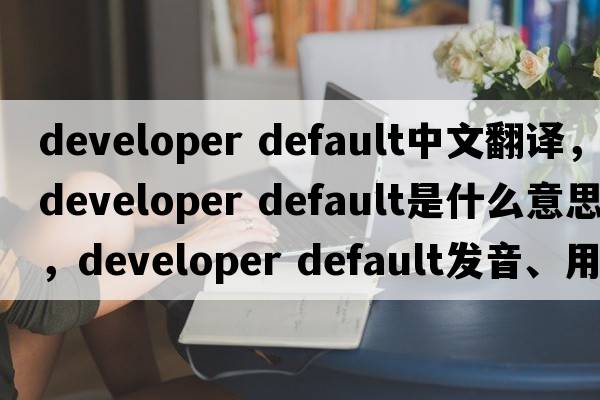 developer default中文翻譯，developer default是什么意思，developer default發(fā)音、用法及例句