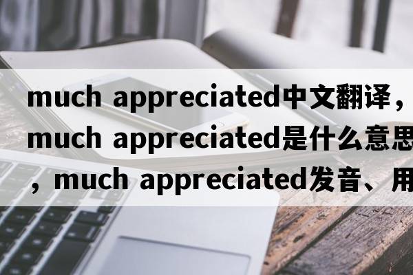 much appreciated中文翻譯，much appreciated是什么意思，much appreciated發(fā)音、用法及例句