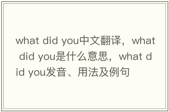 what did you中文翻譯，what did you是什么意思，what did you發(fā)音、用法及例句