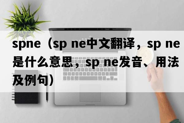 spne（sp ne中文翻譯，sp ne是什么意思，sp ne發(fā)音、用法及例句）