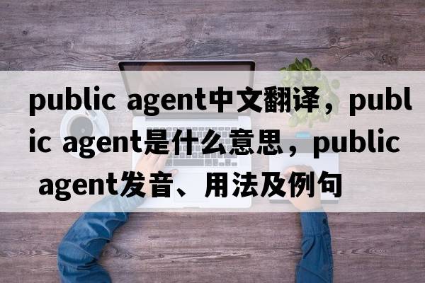 public agent中文翻譯，public agent是什么意思，public agent發(fā)音、用法及例句