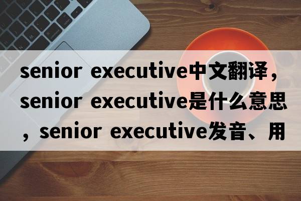 senior executive中文翻譯，senior executive是什么意思，senior executive發(fā)音、用法及例句