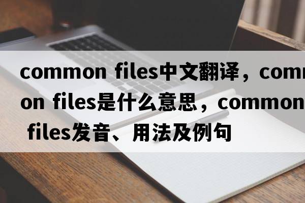 common files中文翻譯，common files是什么意思，common files發(fā)音、用法及例句
